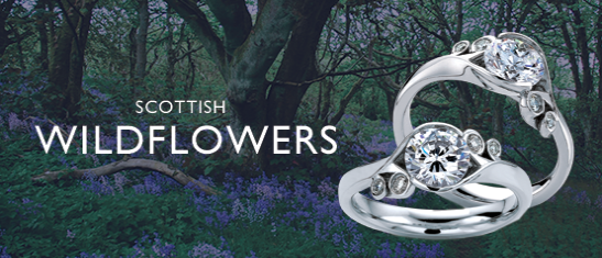 Scottish Wildflowers